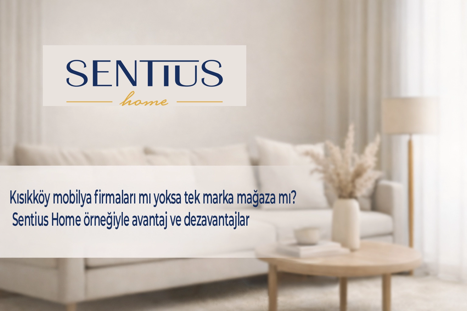 kisikkoy-mobilya-firmalari-mi-yoksa-tek-marka-magaza-mi-sentius-home-ornegiyle-avantaj-ve-dezavantajlar
