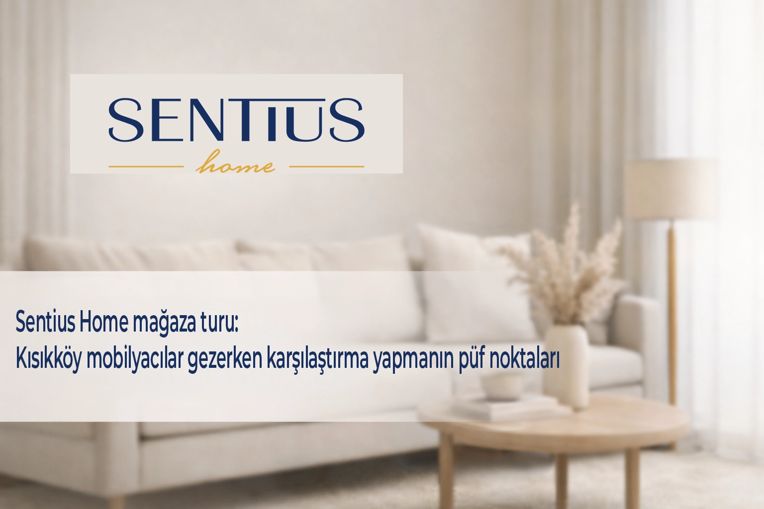 sentius-home-magaza-turu-kisikkoy-mobilyacilar-gezerken-karsilastirma-yapmanin-puf-noktalari