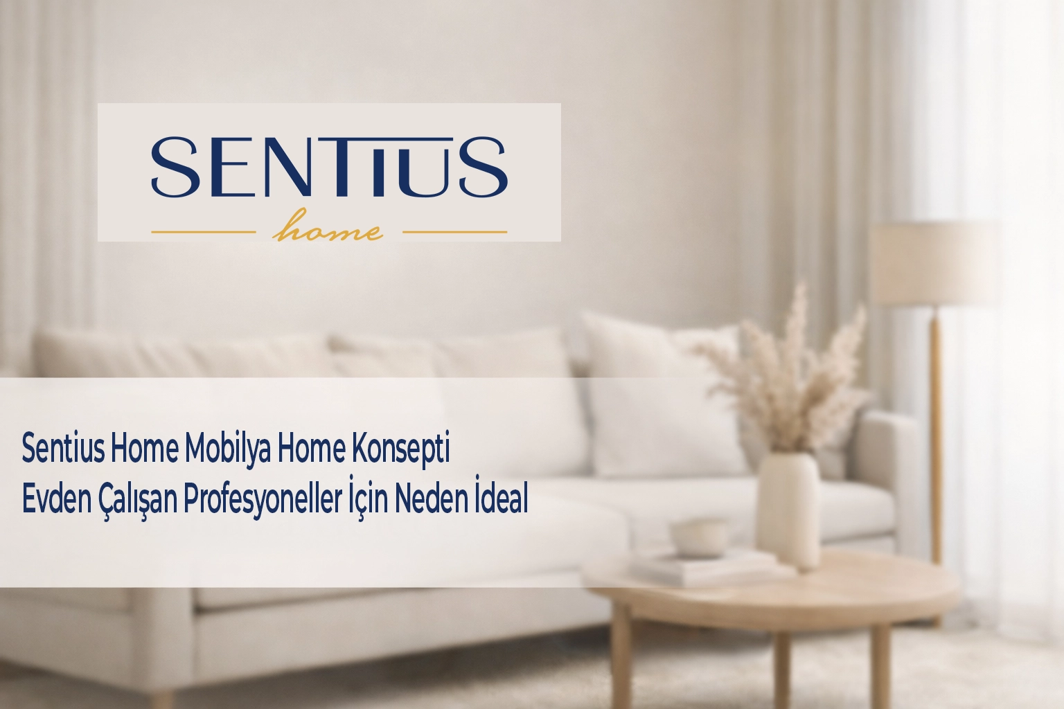sentius-home-mobilya-home-konsepti-evden-calisan-profesyoneller-icin-neden-ideal